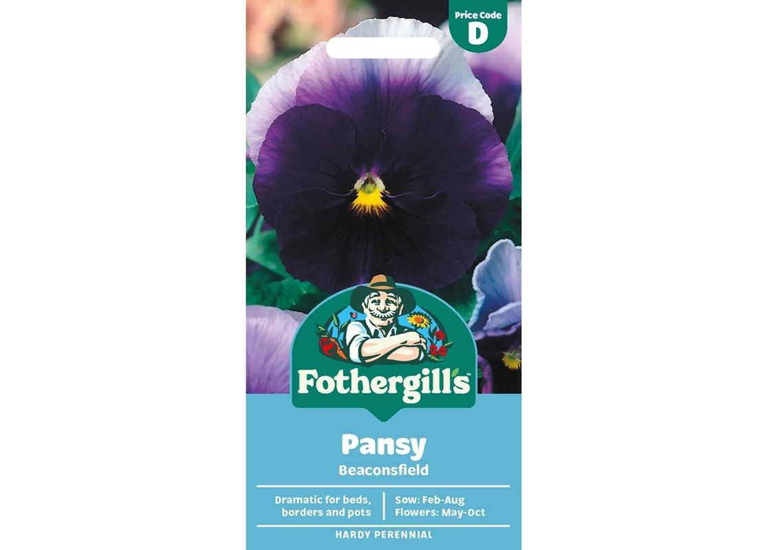 PANSY Beaconsfield PANSY Beaconsfield