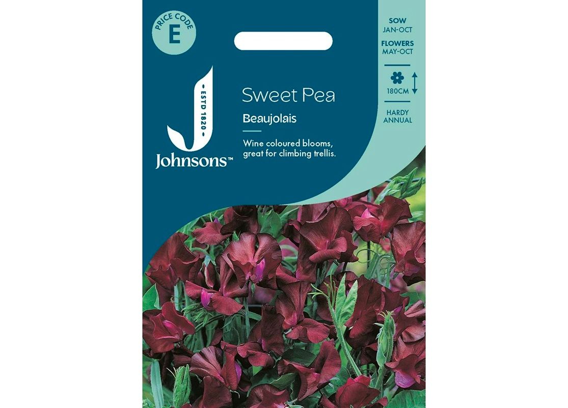 SWEET PEA Beaujolais SWEET PEA Beaujolais