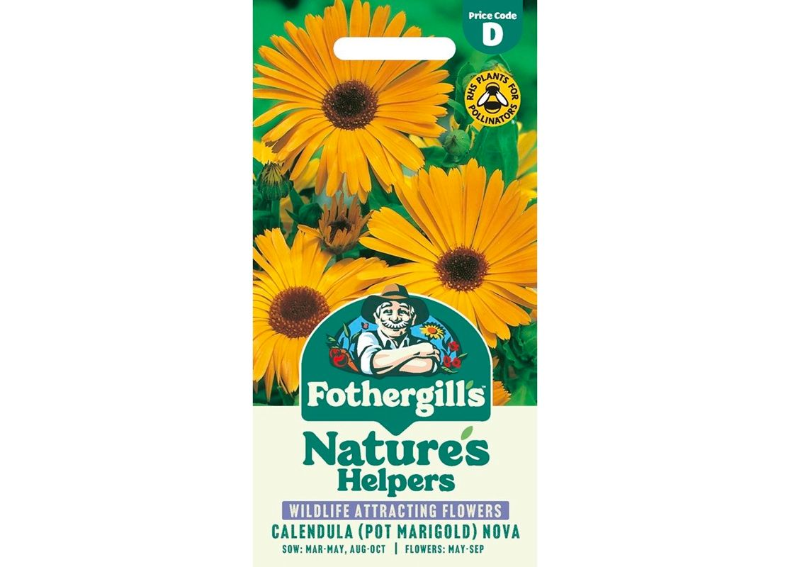 CALENDULA Pot Marigold Nova