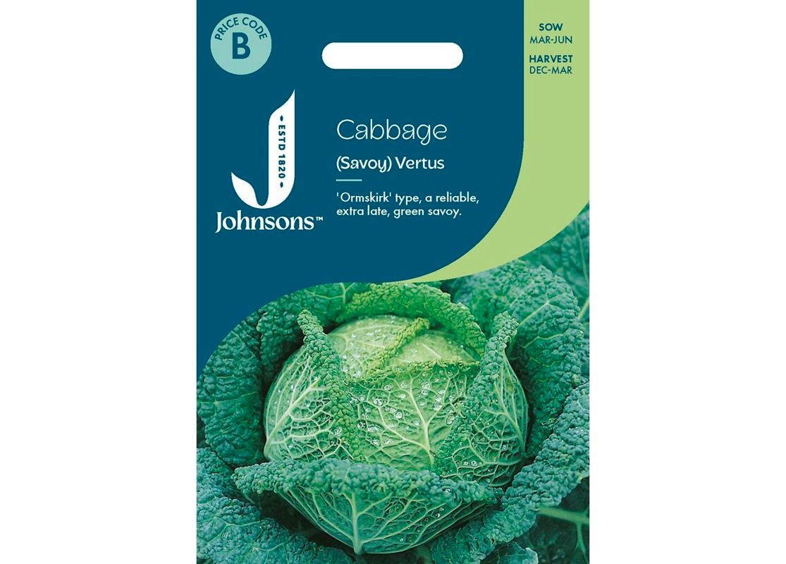 CABBAGE (Savoy) Vertus