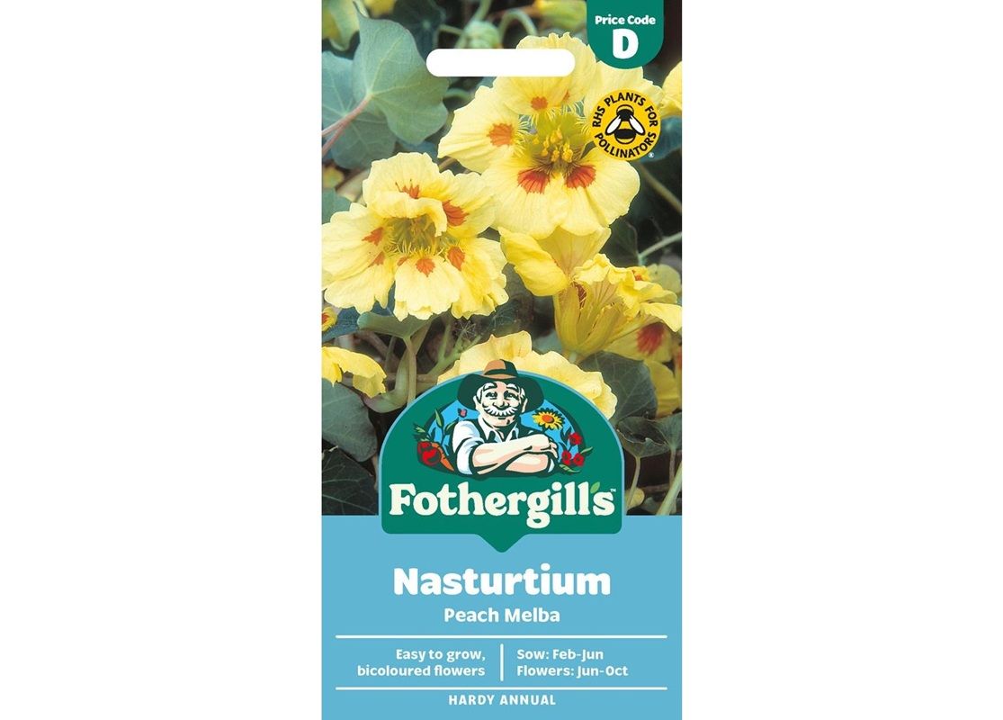 NASTURTIUM Peach Melba NASTURTIUM Peach Melba