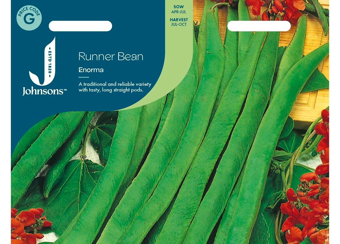 RUNNER BEAN Enorma