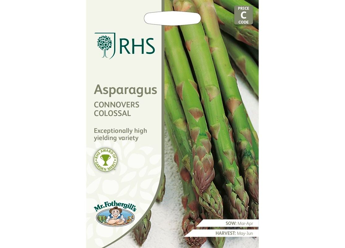 RHS ASPARAGUS Connover's Colossal