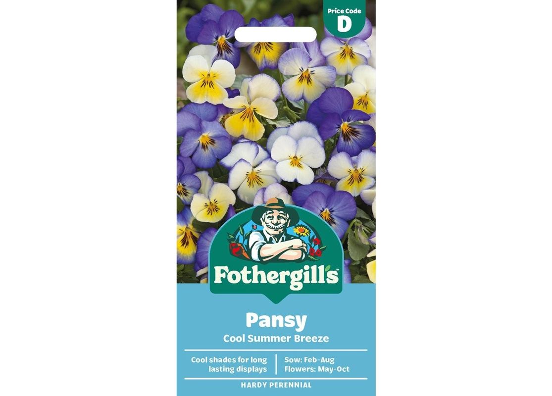 PANSY Cool Summer Breeze