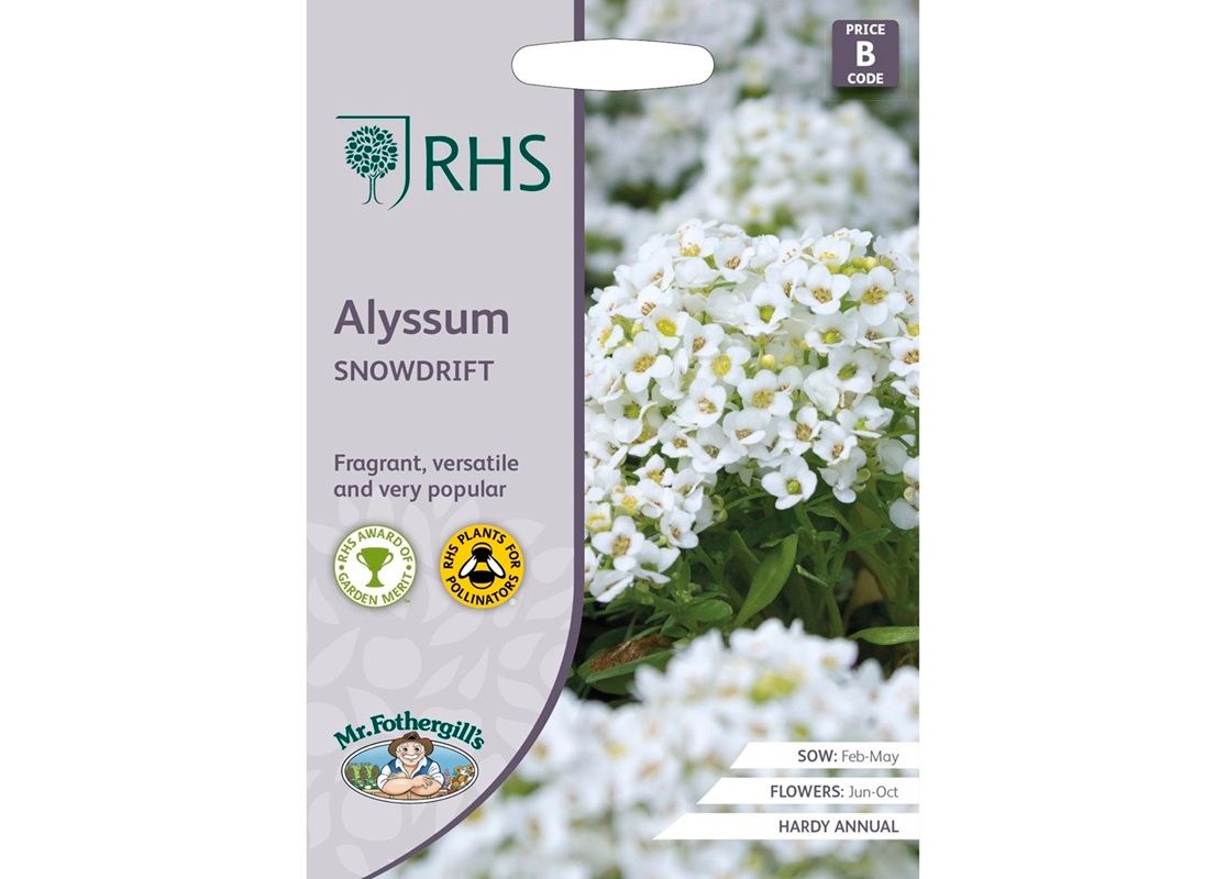 RHS ALYSSUM Snowdrift