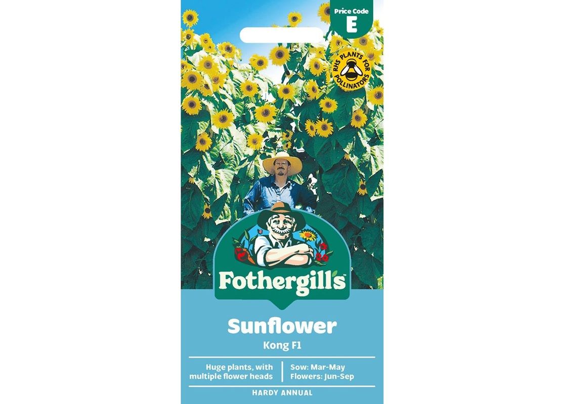 SUNFLOWER Kong F1 SUNFLOWER Kong F1