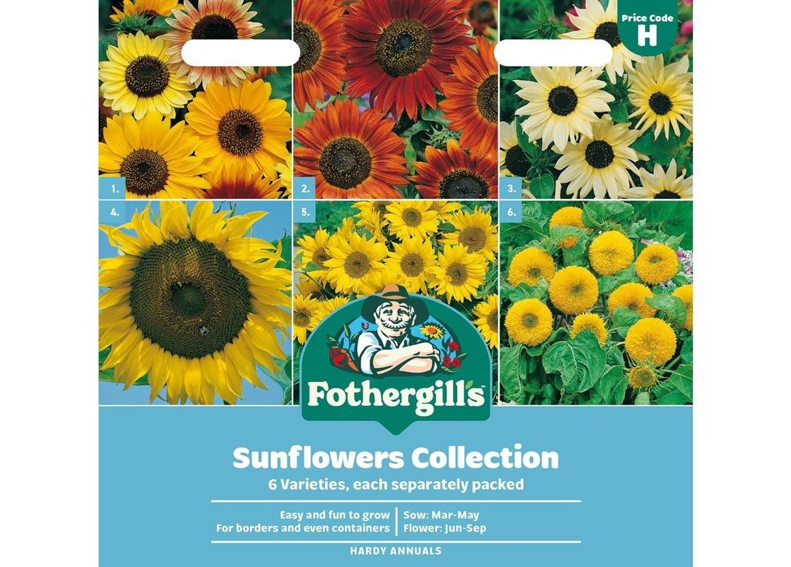 SUNFLOWERS COLLECTION