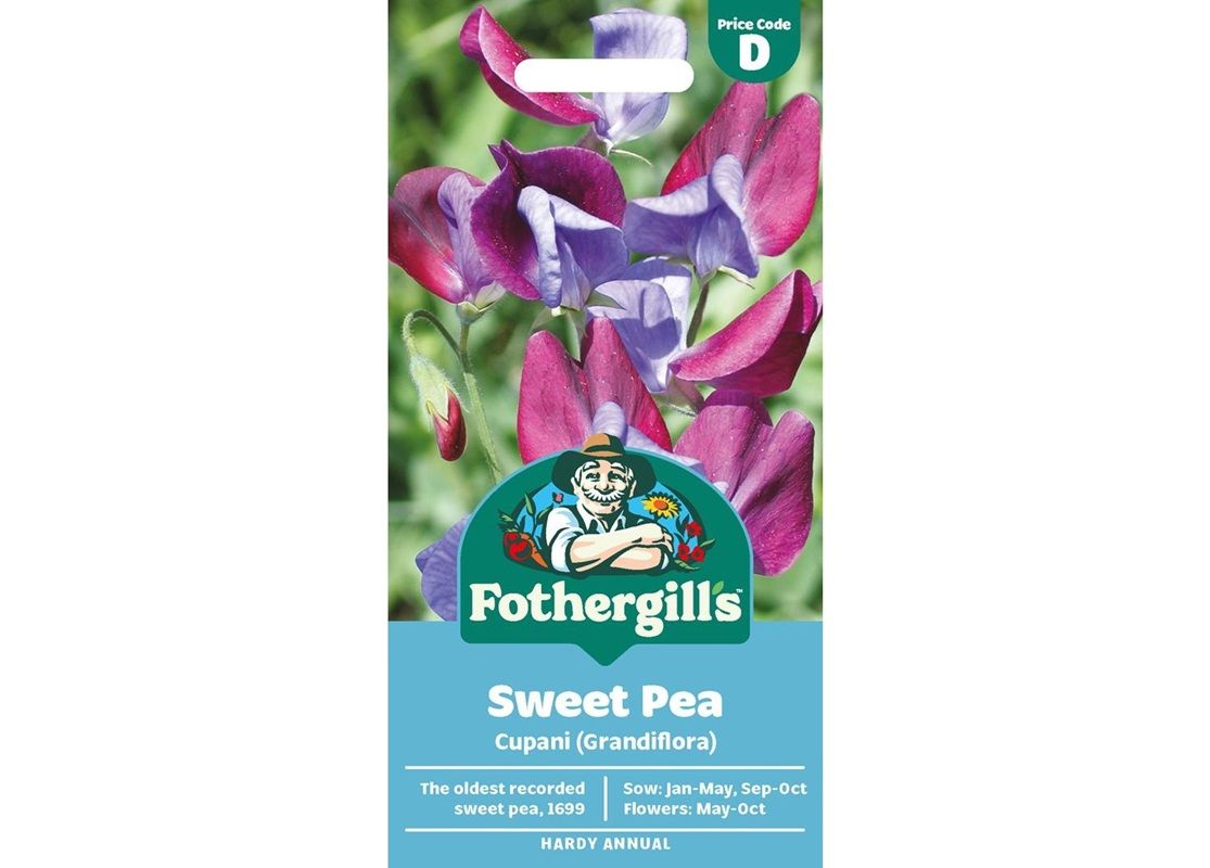 SWEET PEA Cupani (Grandiflora) SWEET PEA Cupani (Grandiflora)