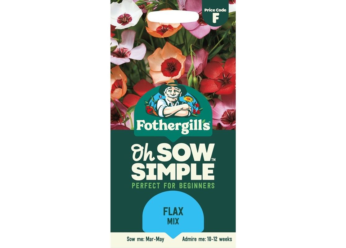 FLAX (Linum) Charmer Mixed FLAX (Linum) Charmer Mixed