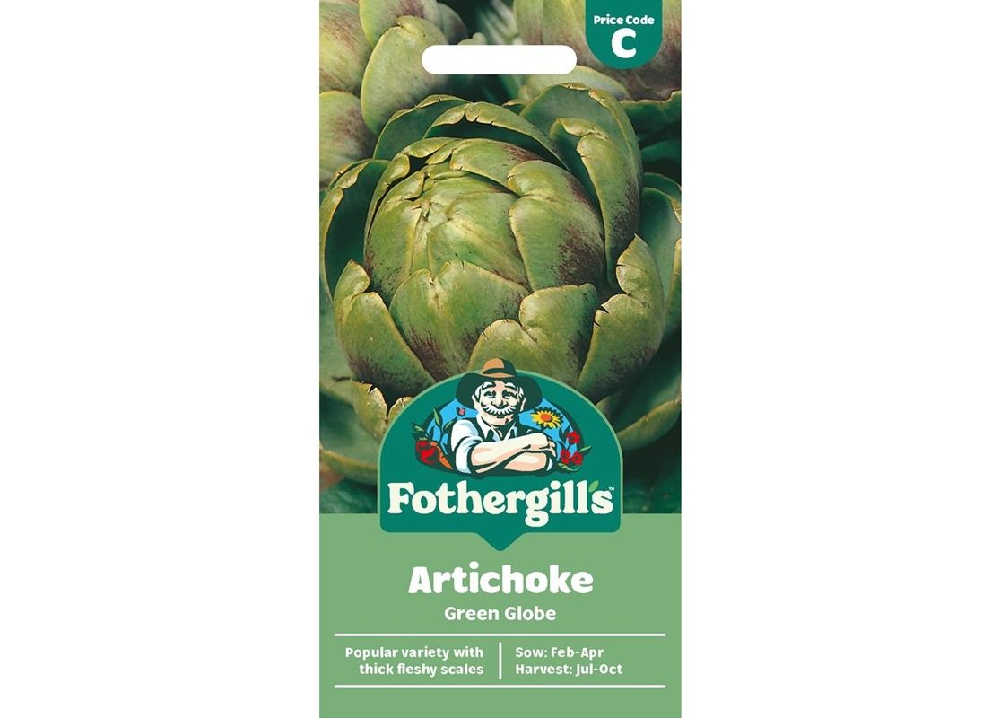 ARTICHOKE Green Globe ARTICHOKE Green Globe