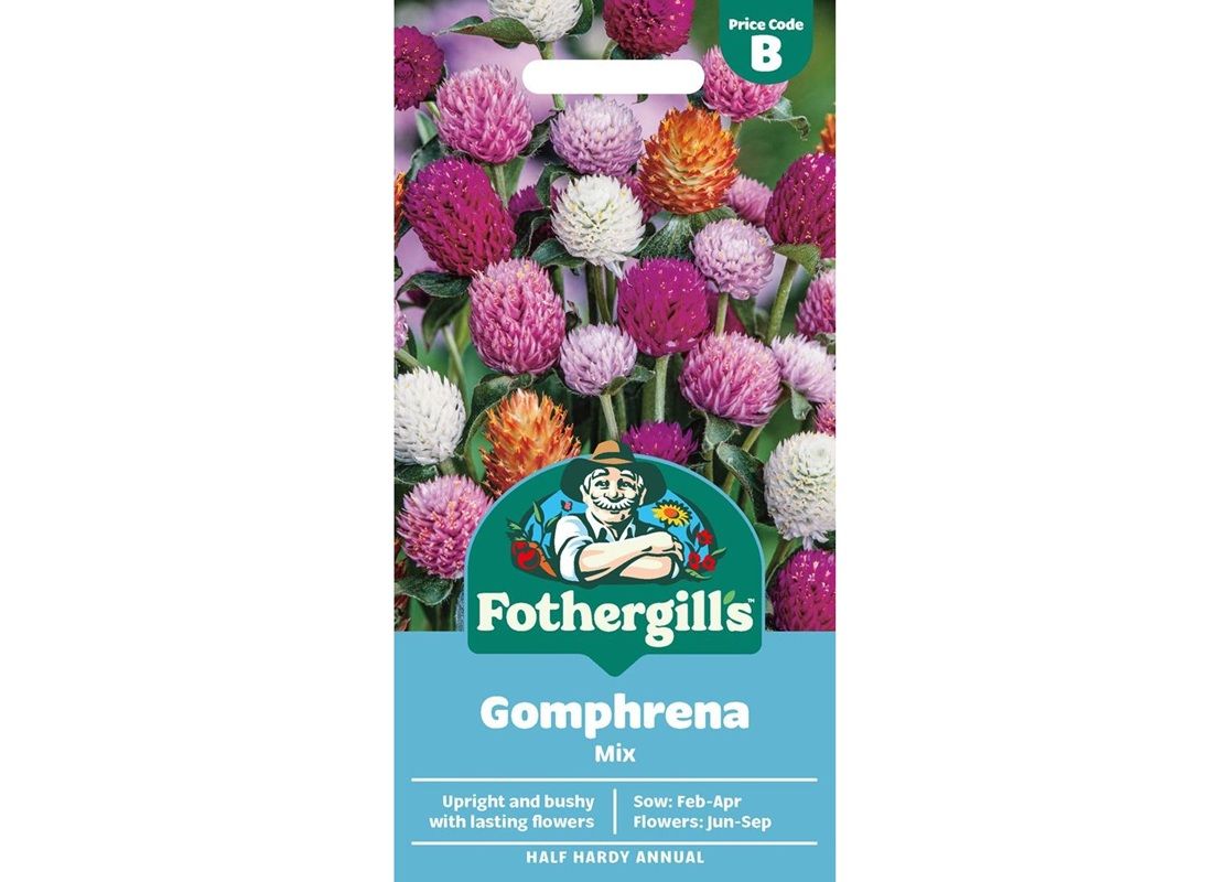 GOMPHRENA Mix