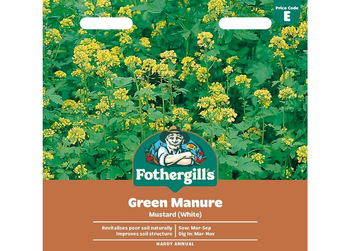 GREEN MANURE Mustard (White)