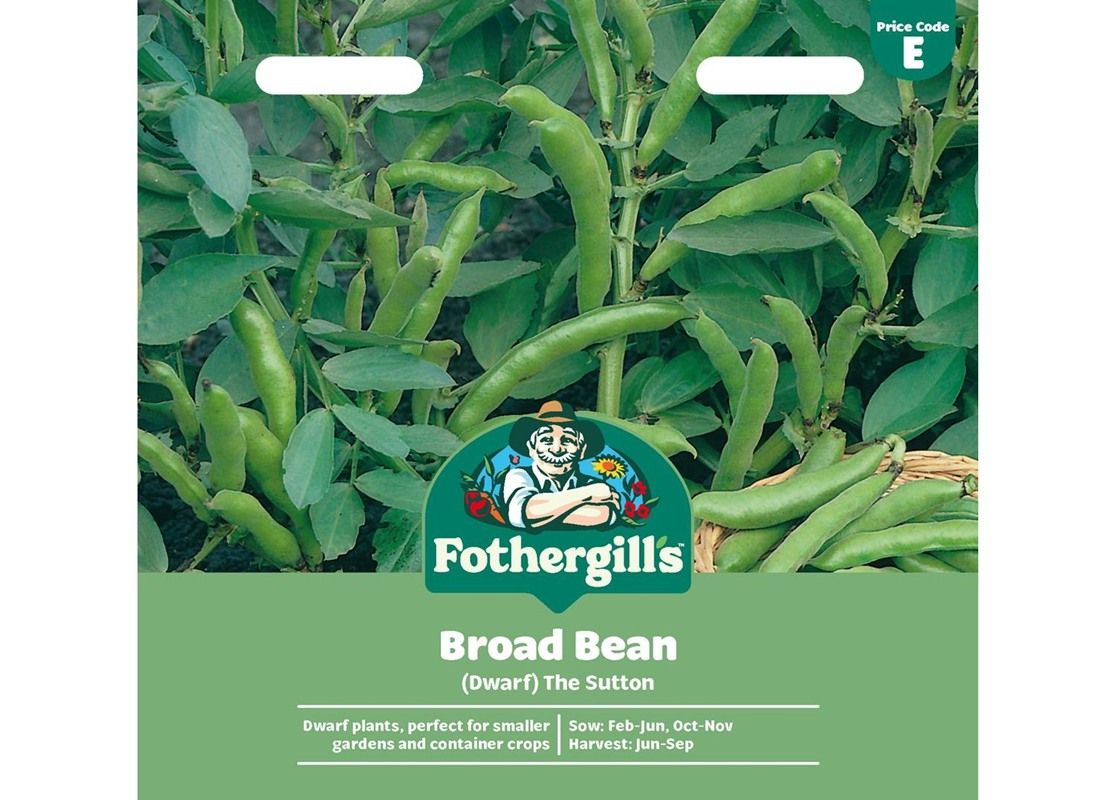 BROAD BEAN (Dwarf) The Sutton