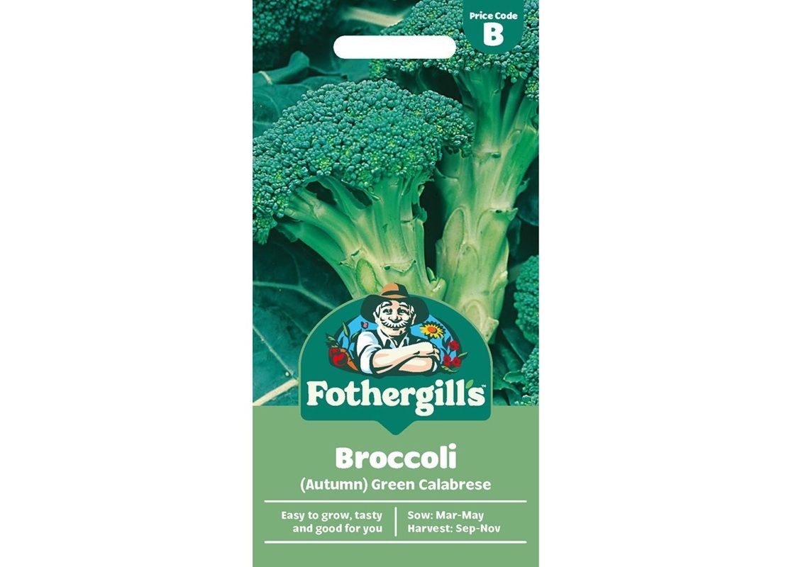 BROCCOLI (Autumn) Green Calabrese