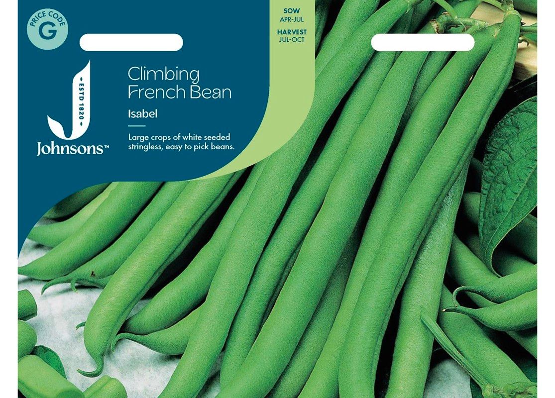 CLIMBING FRENCH BEAN Isabel