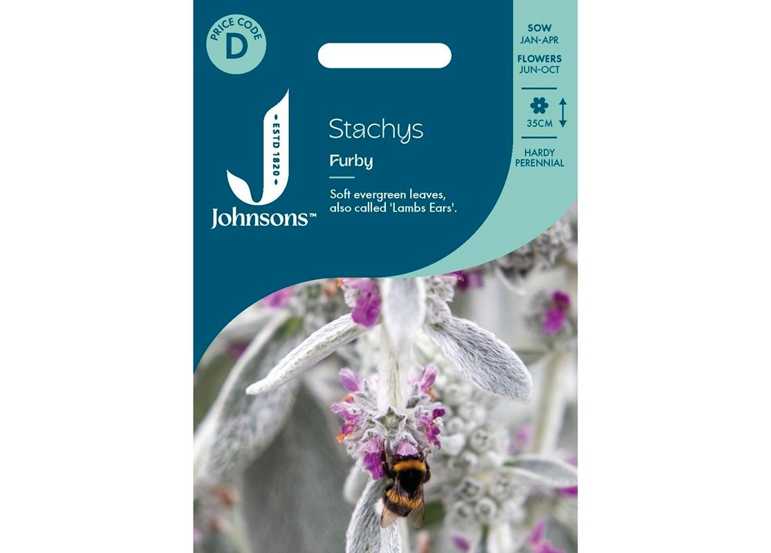 STACHYS Furby