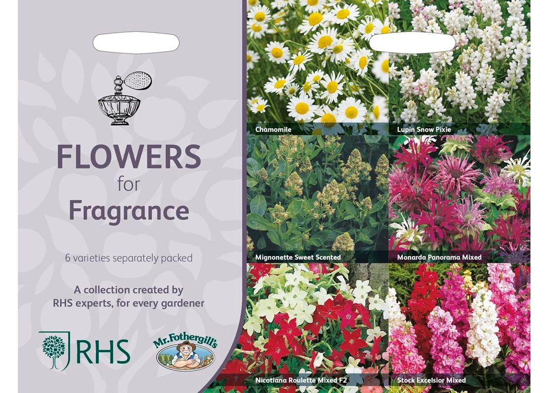 RHS Flowers for Fragrance Collection