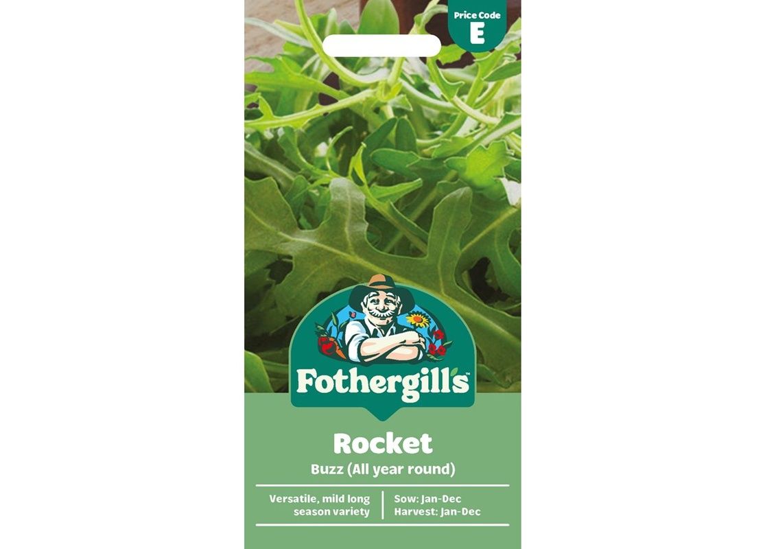 ROCKET Buzz (All year round) ROCKET Buzz (All year round)