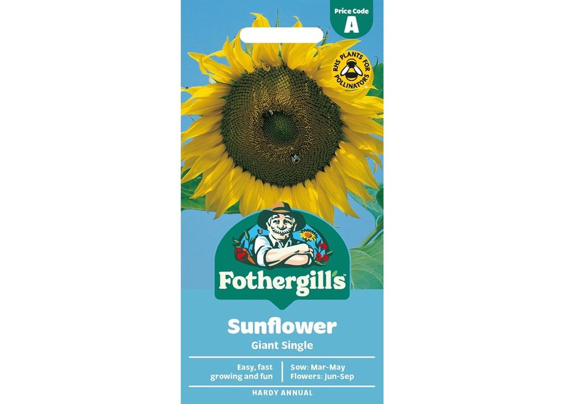 SUNFLOWER Giant Single