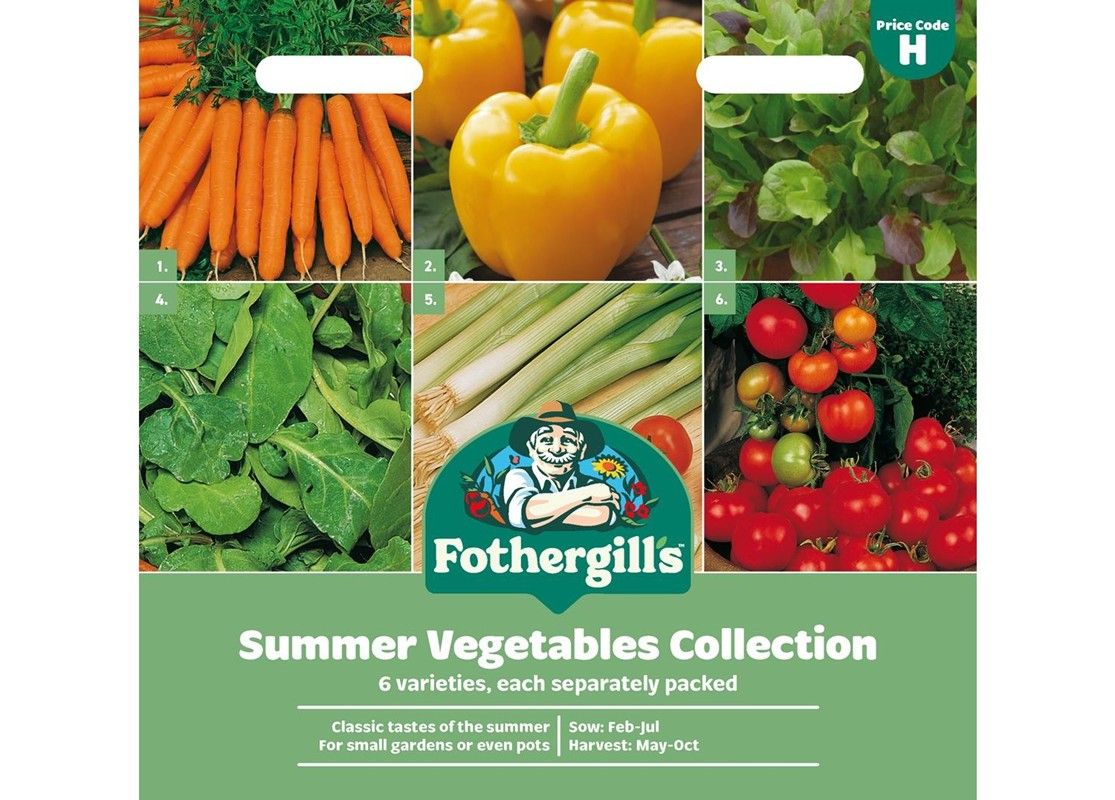 SUMMER VEGETABLES SUMMER VEGETABLES