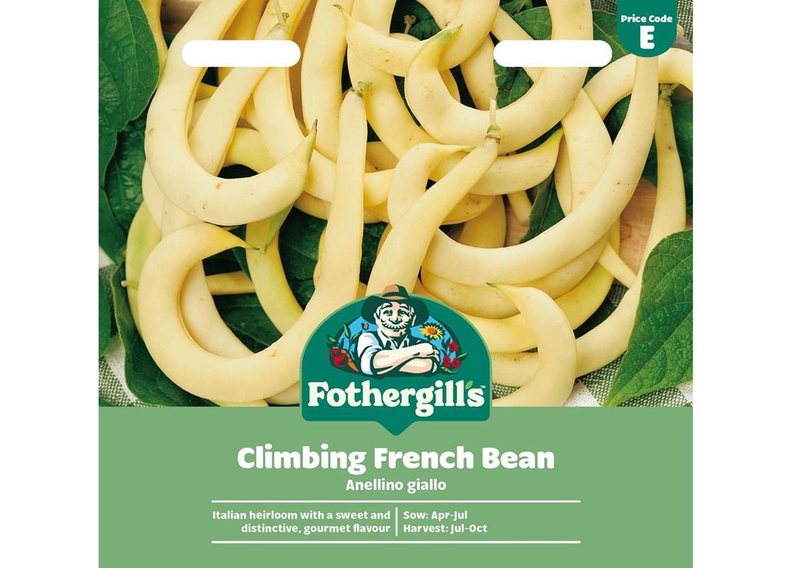 CLIMBING FRENCH BEAN Anellino giallo