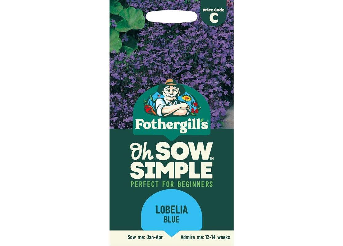 LOBELIA Crystal Palace LOBELIA Crystal Palace