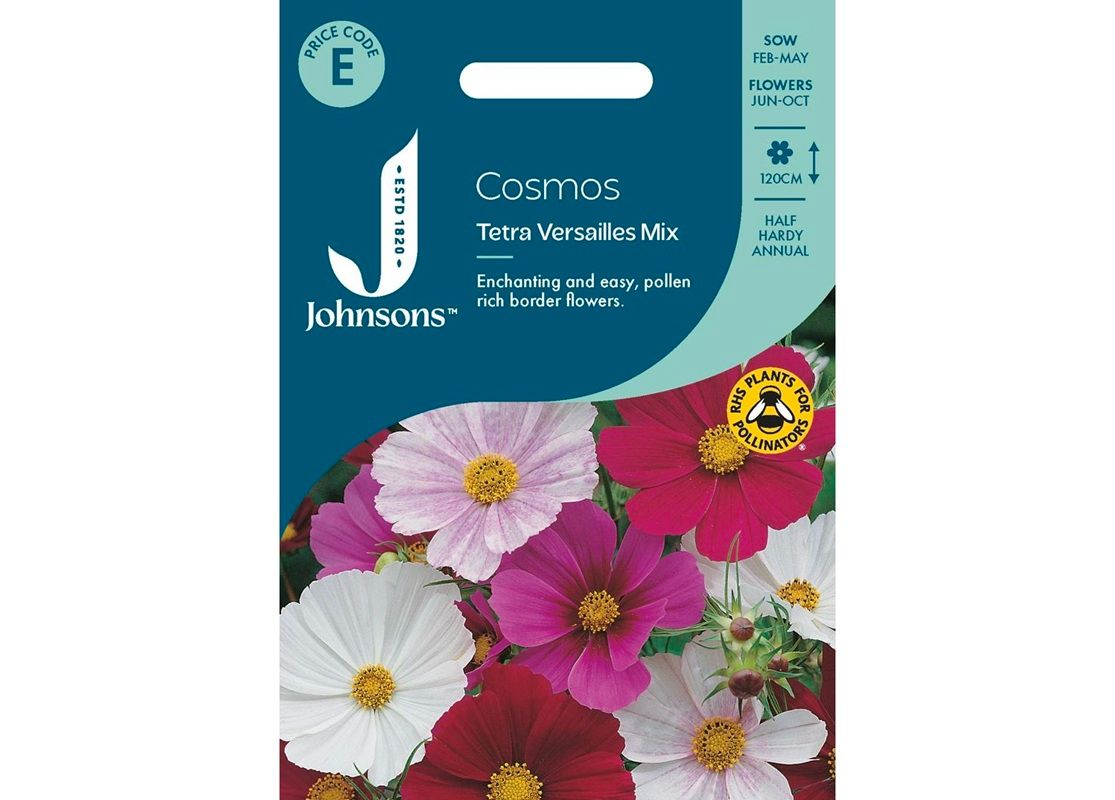 COSMOS Tetra Versailles Mix COSMOS Tetra Versailles Mix