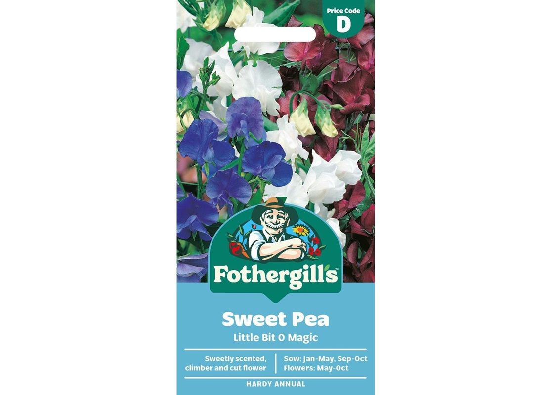 SWEET PEA Little Bit O Magic