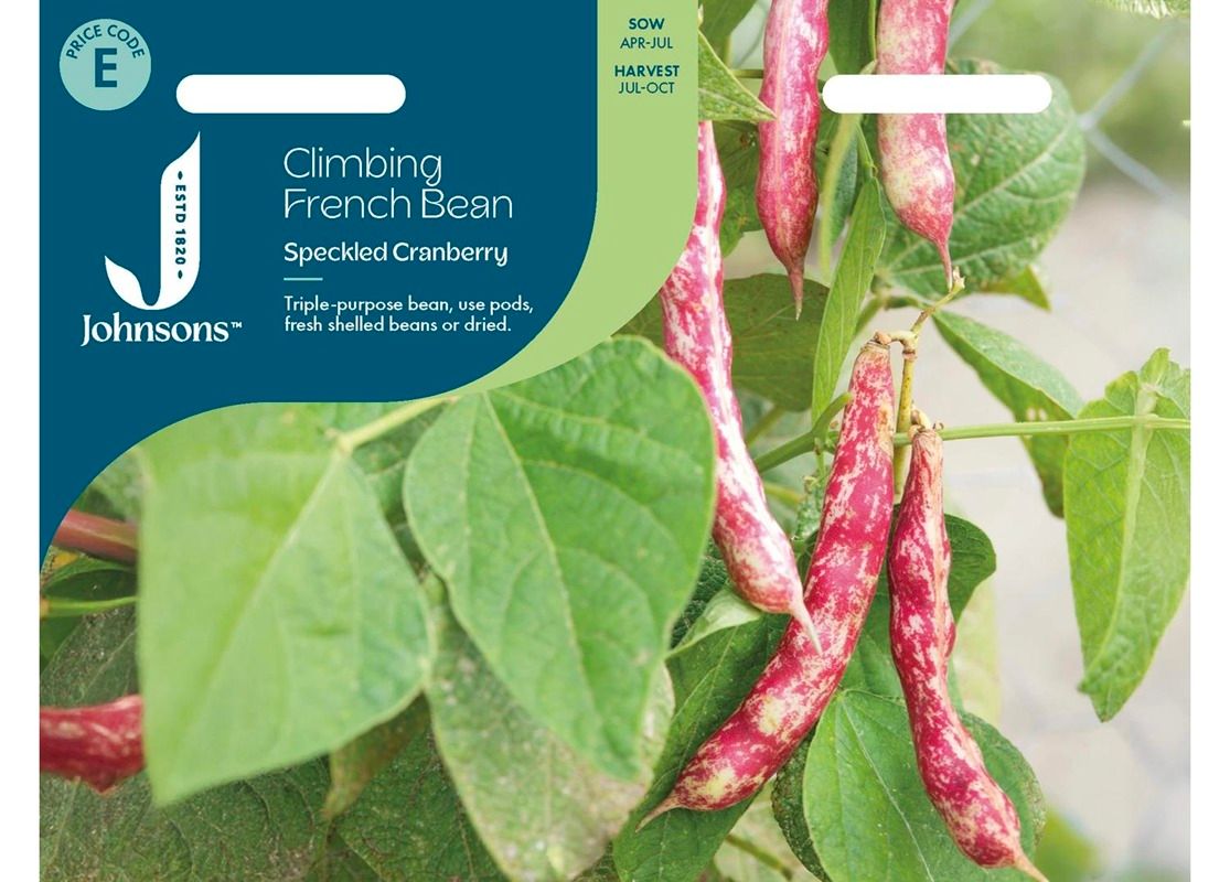 CLIMBING FRENCH BEAN Speckled Cranberry CLIMBING FRENCH BEAN Speckled Cranberry