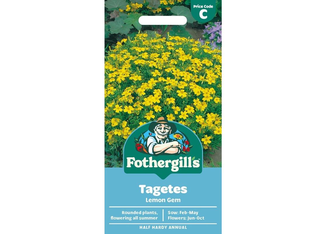 TAGETES Lemon Gem