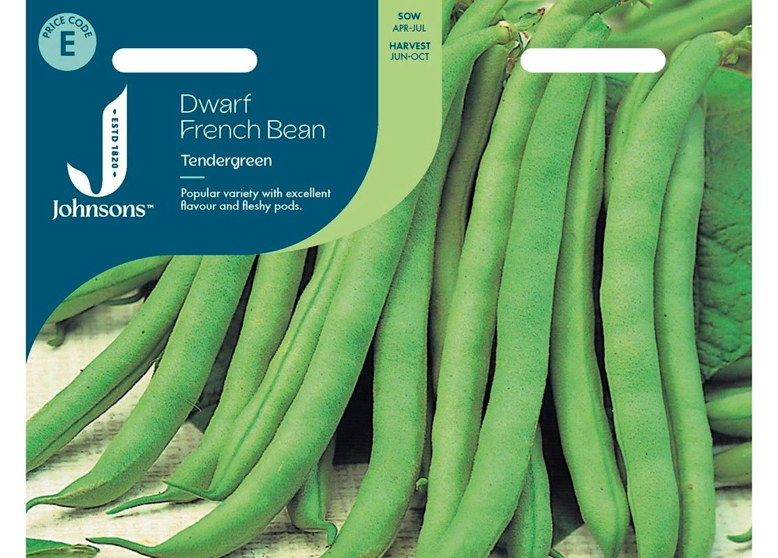 DWARF FRENCH BEAN Tendergreen
