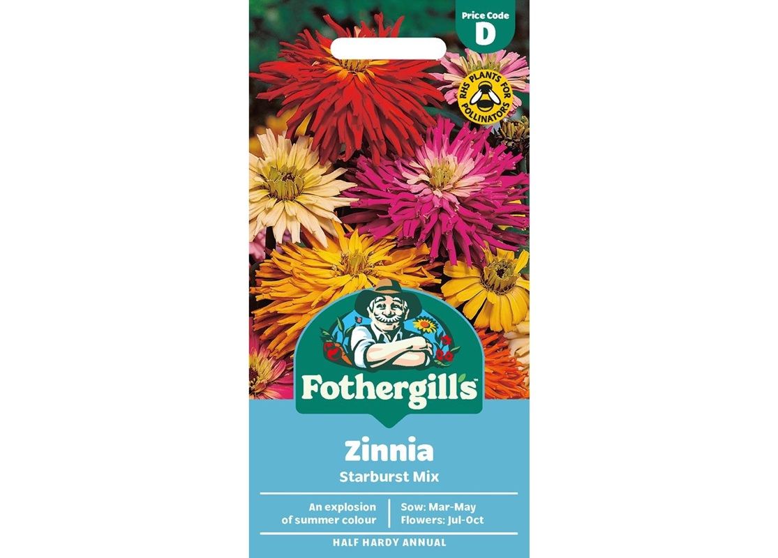 ZINNIA Starburst Mix