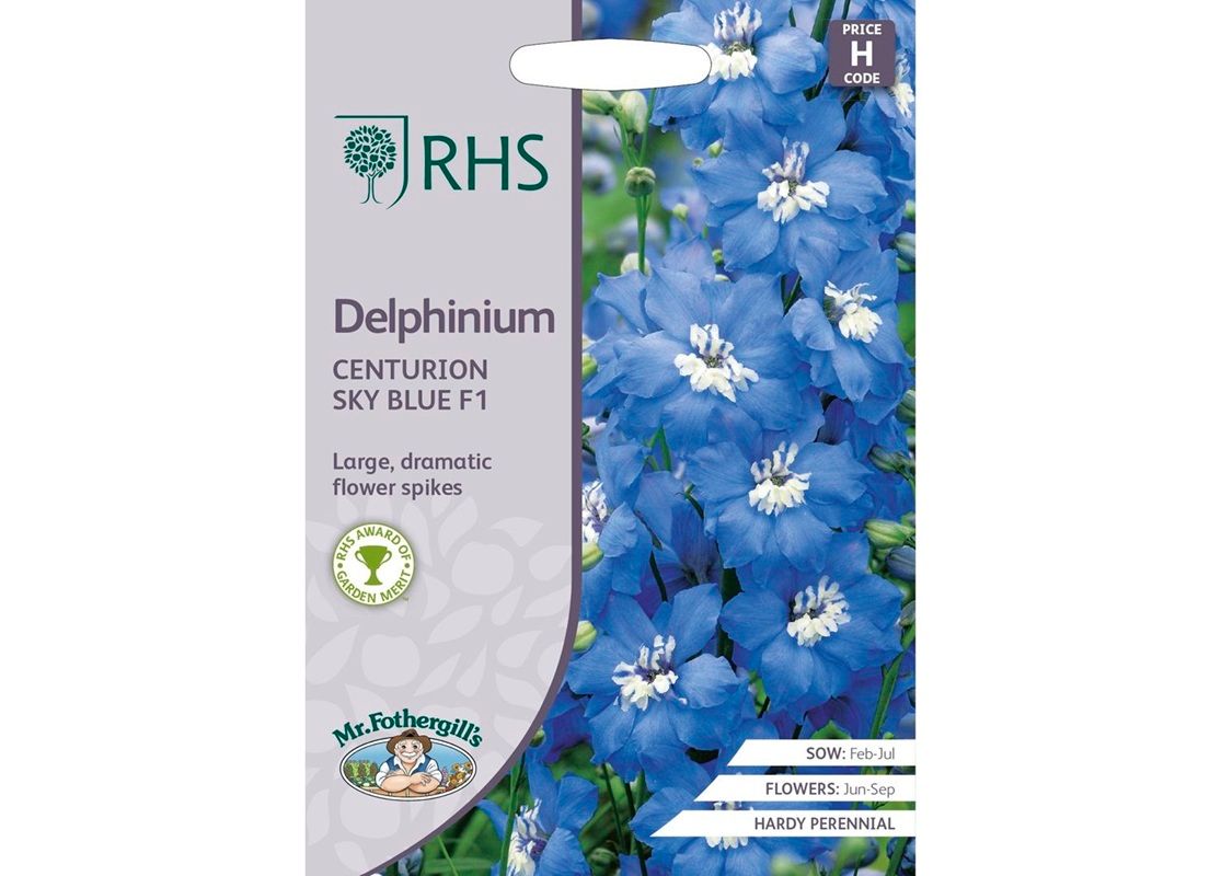 RHS DELPHINIUM Centurion Sky Blue F1