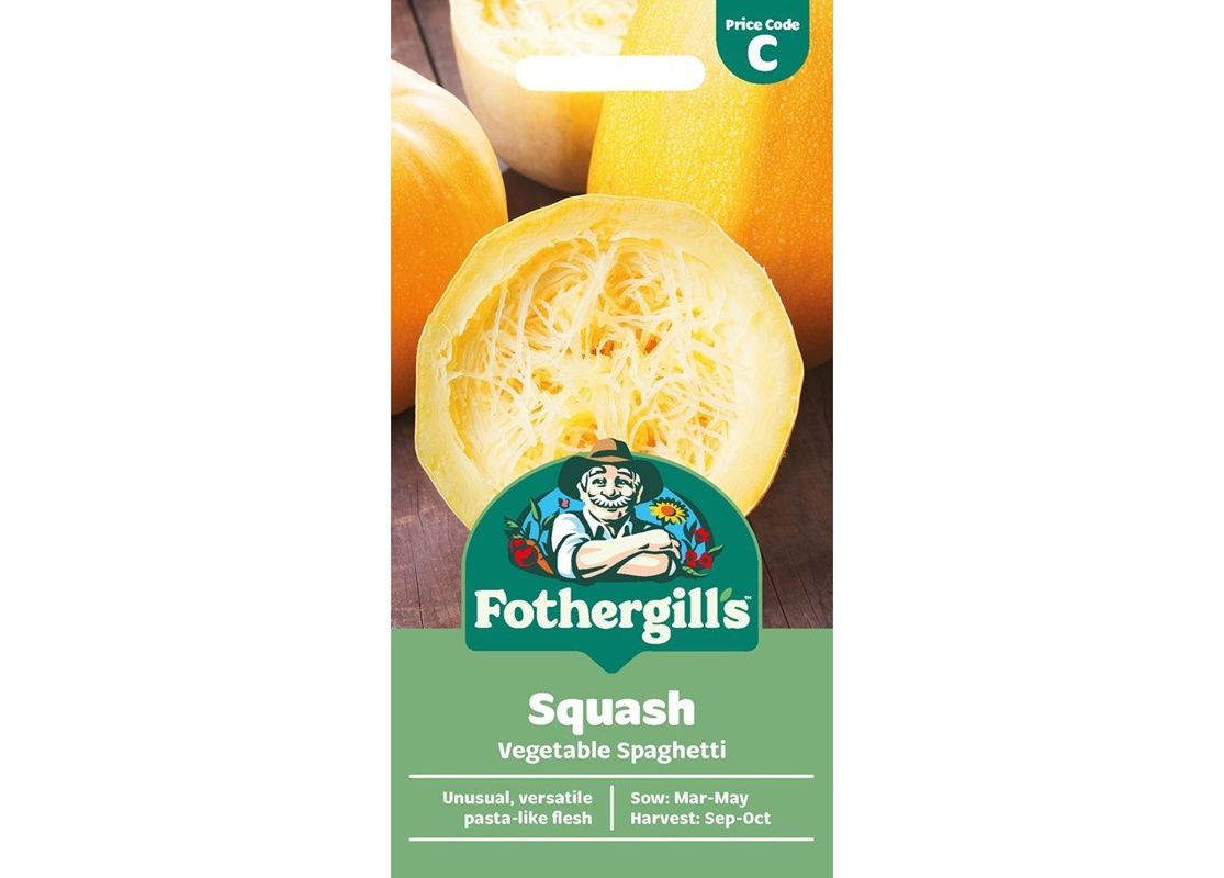 SQUASH Vegetable Spaghetti