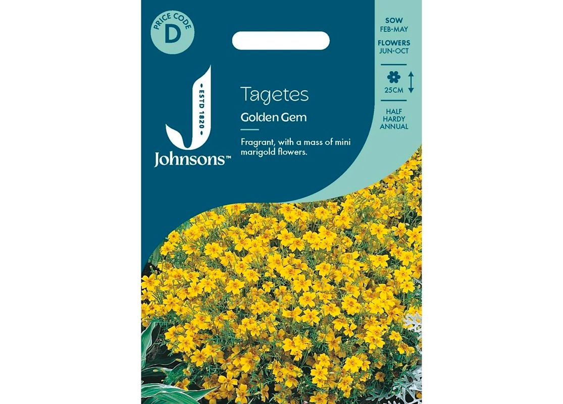 TAGETES Golden Gem