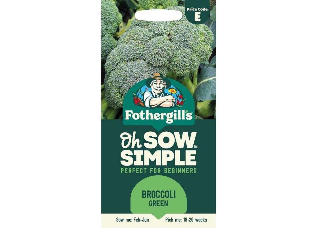 BROCCOLI (Autumn) Covina BROCCOLI (Autumn) Covina