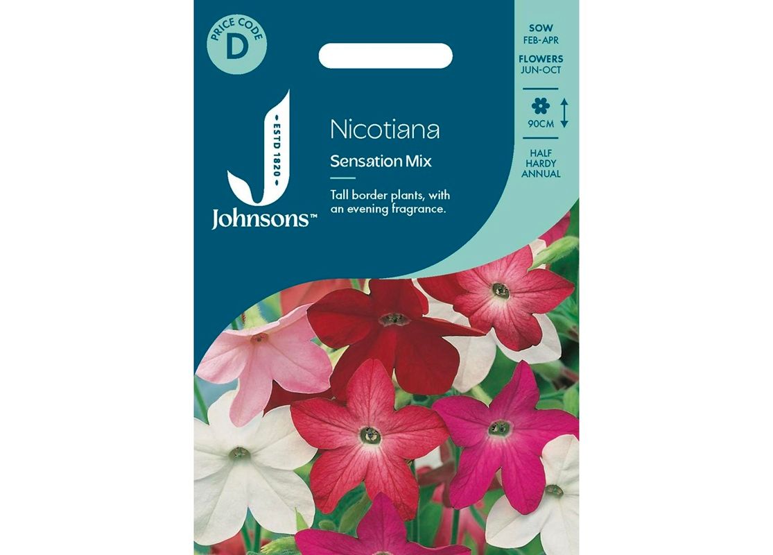 NICOTIANA Sensation Mix