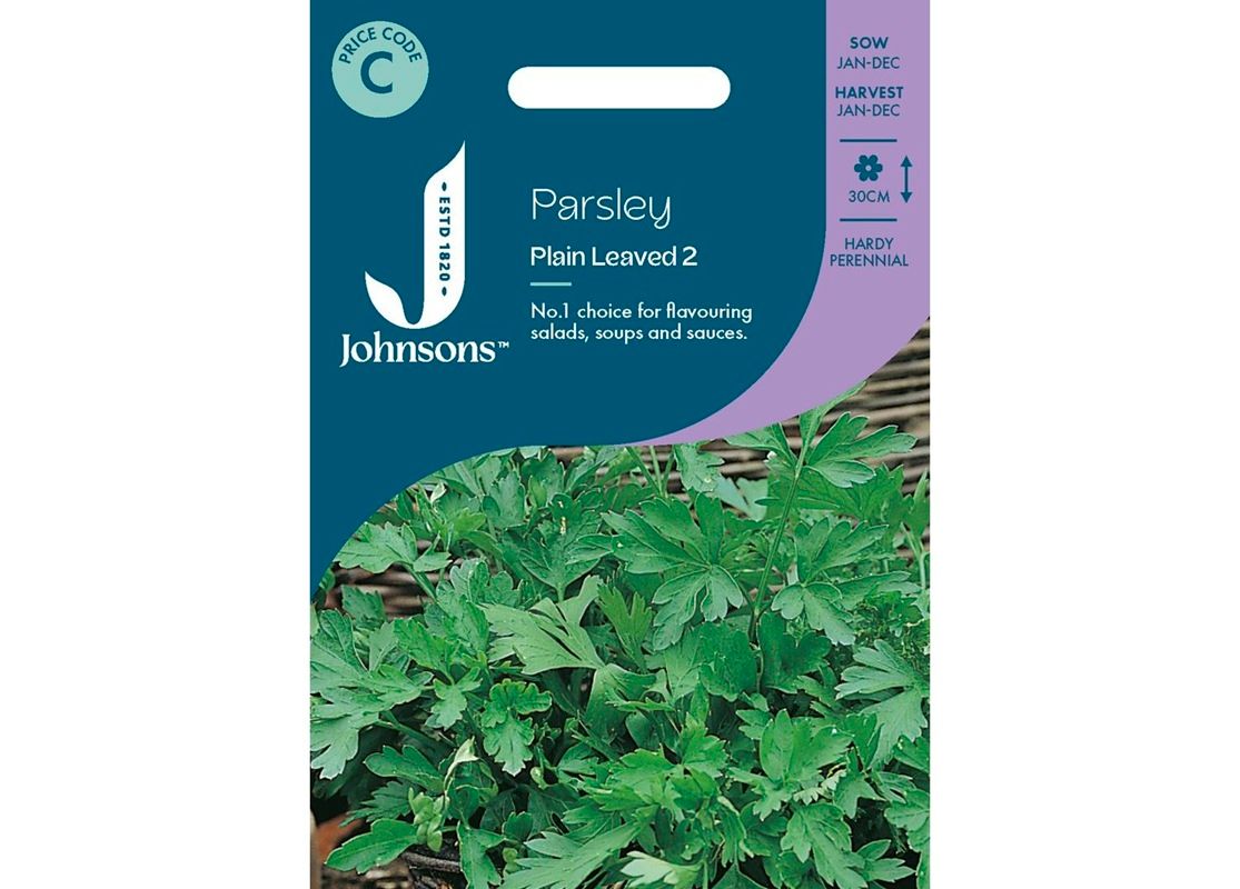 PARSLEY Plain Leaved 2
