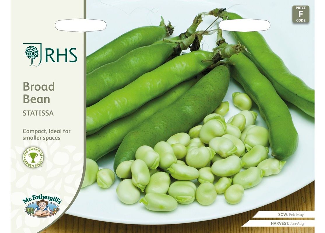 RHS BROAD BEAN Statissa