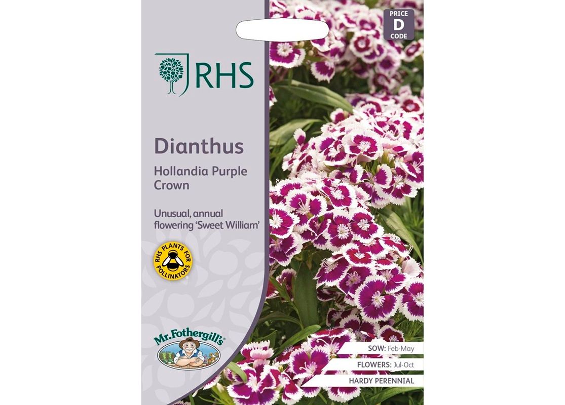 RHS Dianthus Hollandia Purple Crown RHS Dianthus Hollandia Purple Crown