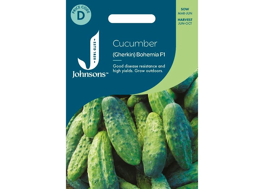 CUCUMBER (Gherkin) Bohemia F1 CUCUMBER (Gherkin) Bohemia F1