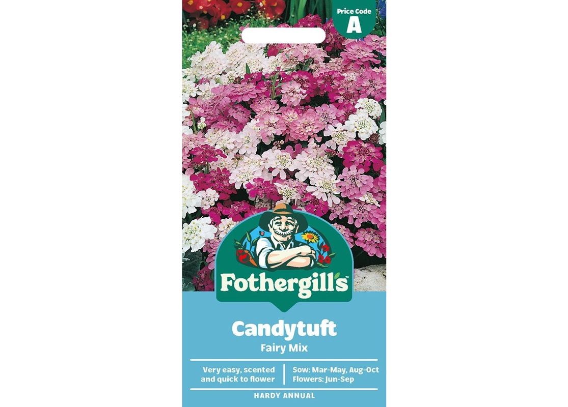 CANDYTUFT Fairy Mix CANDYTUFT Fairy Mix