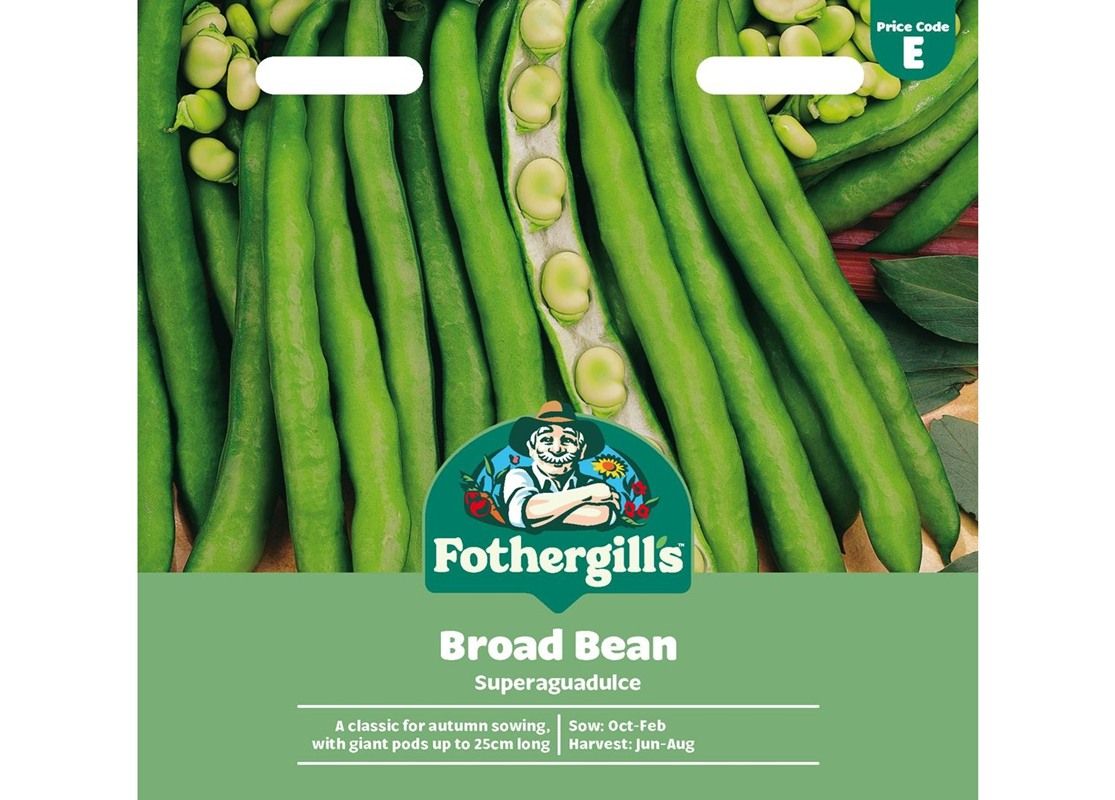 BROAD BEAN Superaguadulce