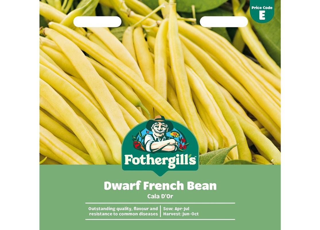 DWARF FRENCH BEAN Cala D'Or DWARF FRENCH BEAN Cala D'Or