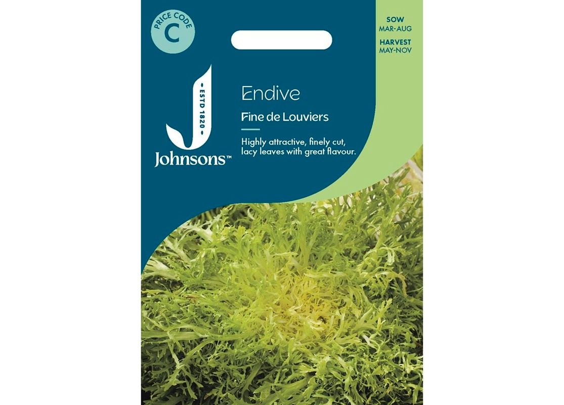 ENDIVE Fine de Louviers ENDIVE Fine de Louviers