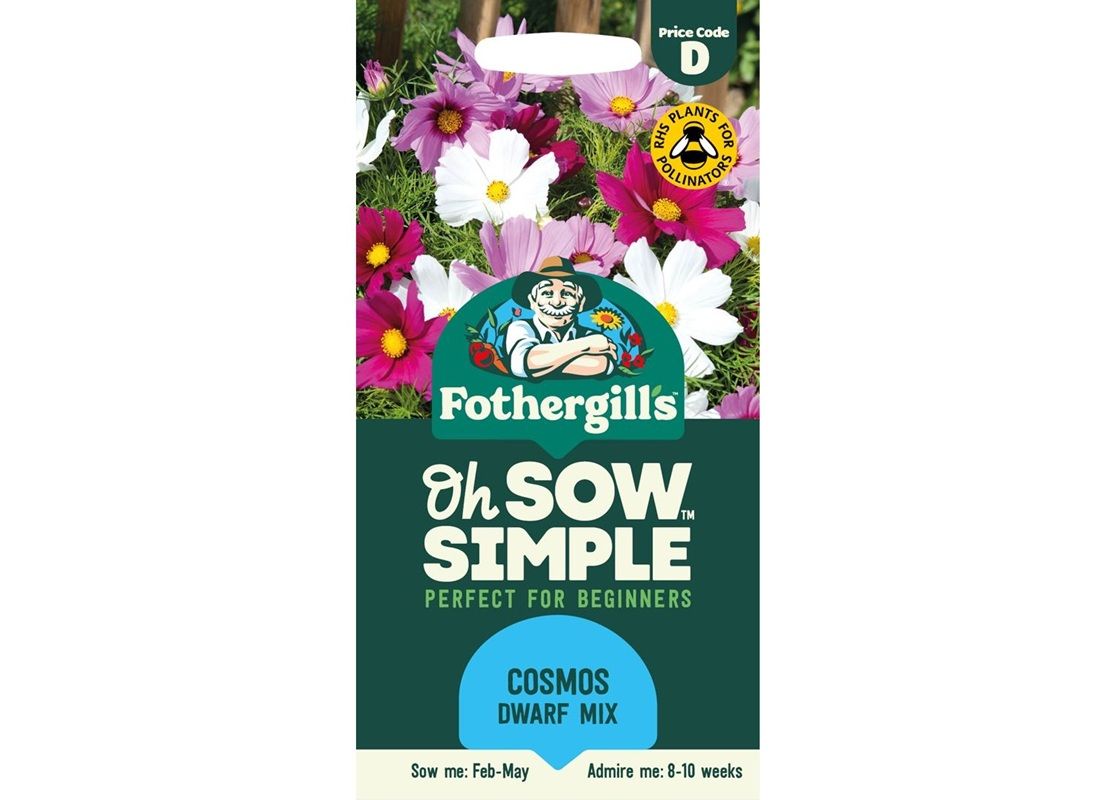 COSMOS (Dwarf) Candyfloss mixed COSMOS (Dwarf) Candyfloss mixed