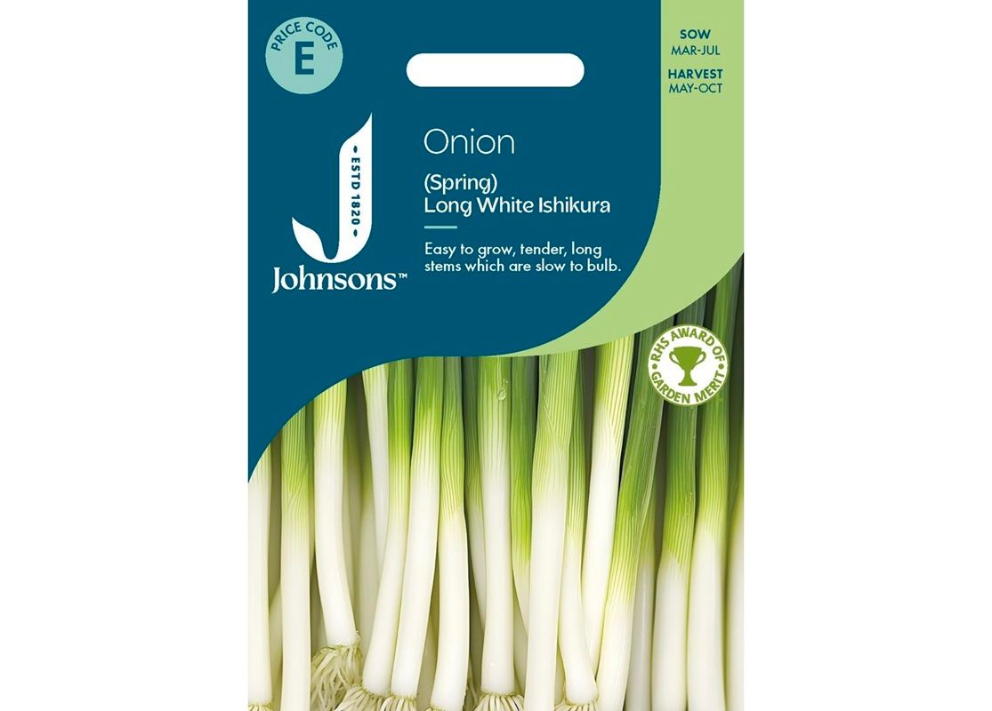 ONION (Spring) Long White Ishikura