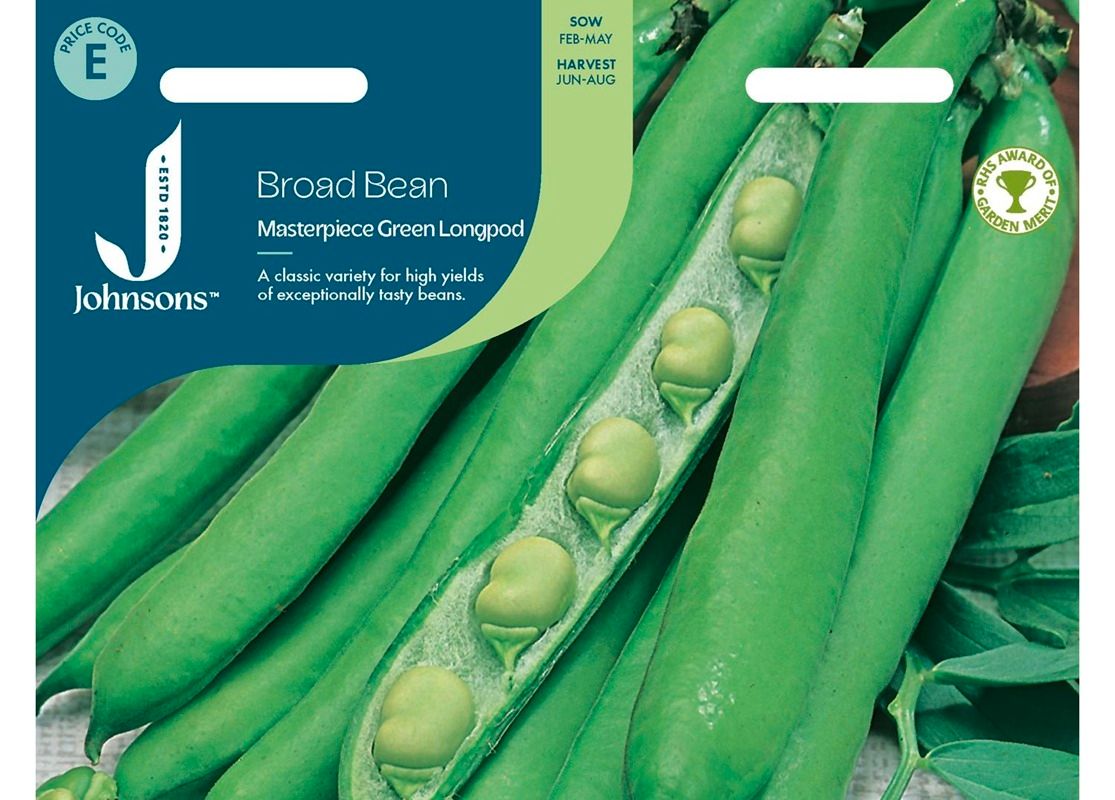 BROAD BEAN Masterpiece Green Longpod BROAD BEAN Masterpiece Green Longpod