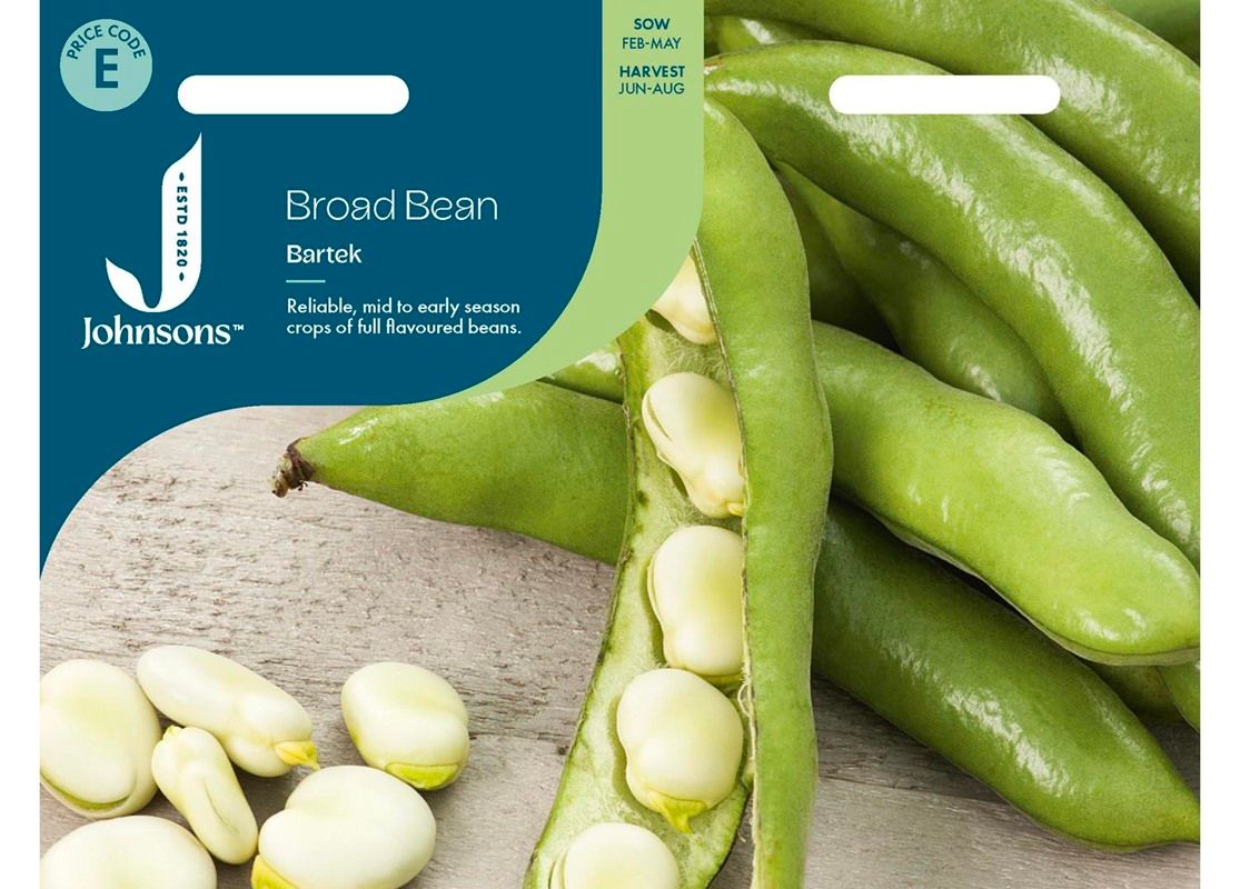 BROAD BEAN Bartek BROAD BEAN Bartek