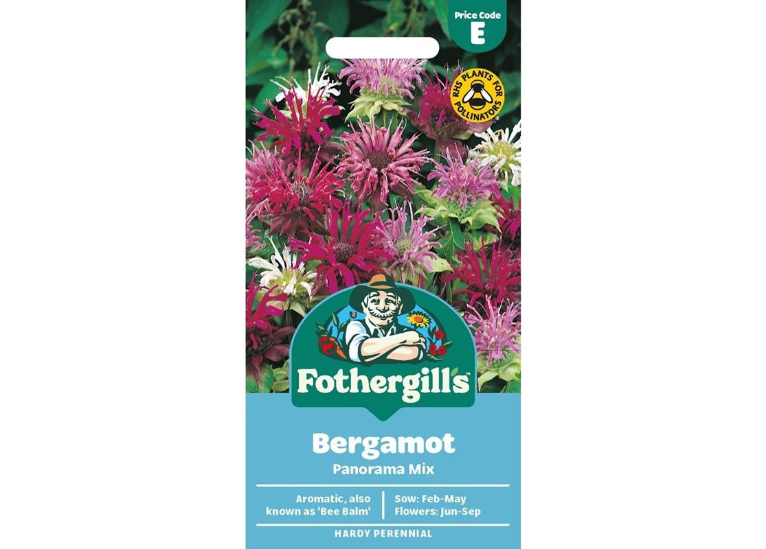 BERGAMOT Panorama Mix BERGAMOT Panorama Mix